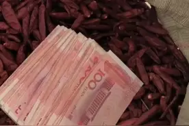 老人把10000元藏袋内与辣椒一同出售图片