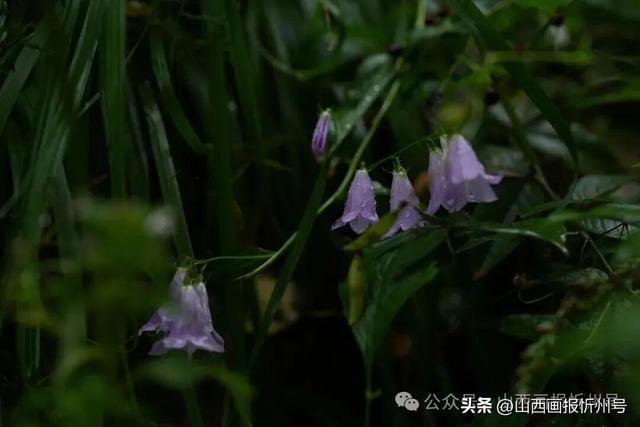 五台山黛螺顶——薄雾清风拾秋光