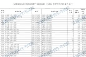 安徽省2024年普通高校招生普通高职（专科）批院校投档分数及名次（历史科目组合）图片