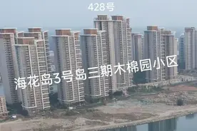 恒大海花岛又火了图片