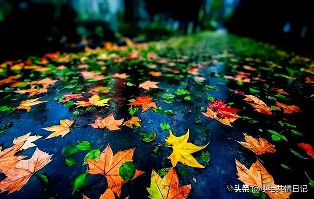 让你瞬间释怀的走心文案，建议永久收藏。
