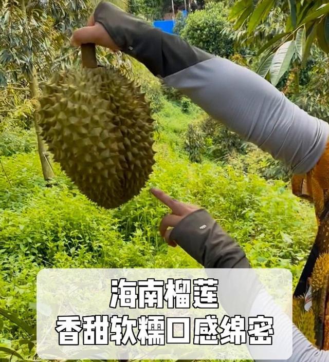 失去中国市场后，大量水果烂地里卖不出去，如今开始后悔得罪中国