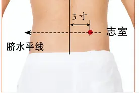 志室穴——男性保健穴位图片