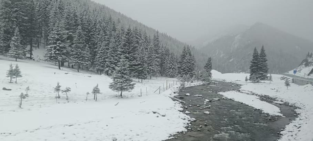 程传军 | 行走北疆