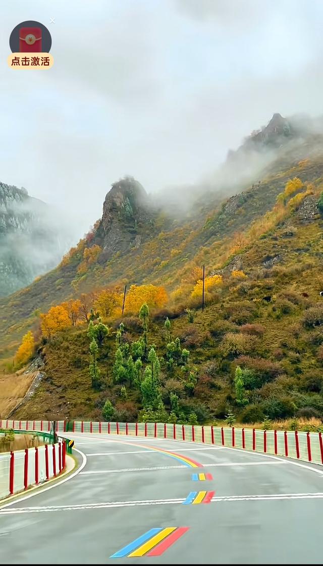 别再只知道青海湖！十月扎碾爆火：“金色隧道”藏着最动人的答案