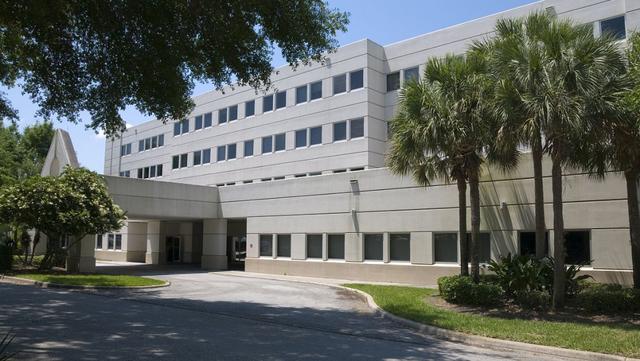 中美握手后，中国腾出精力与荷兰算账，英媒：中国成了欧洲新教父