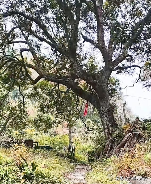 彭州人私藏的精品徒步路线，没有拥挤的人潮，可以吃斋饭！