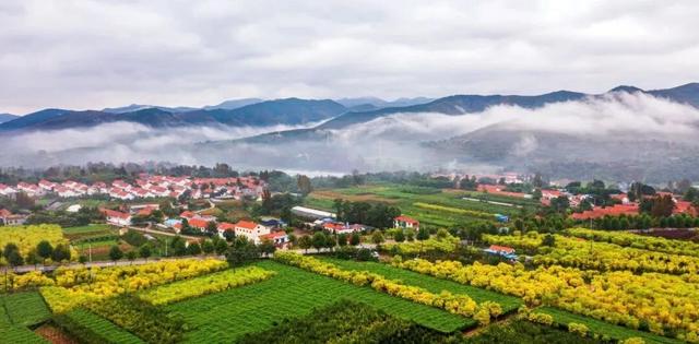 宝藏小城“县”在出发！去临朐～