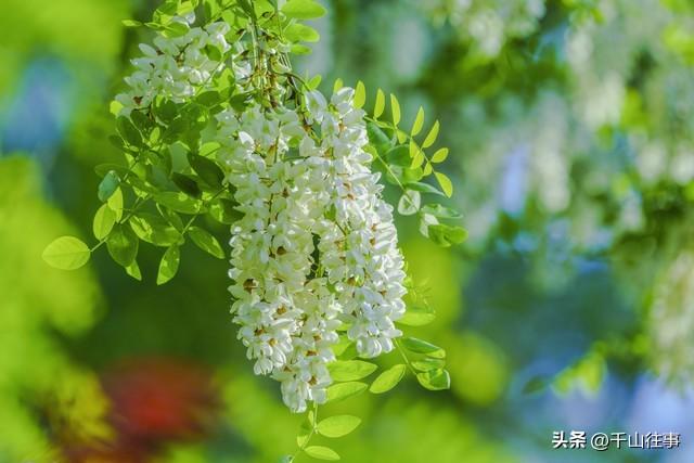 告别骑行“数据焦虑”3条枣庄小众路线，从晒圈狂躁症到四季治愈