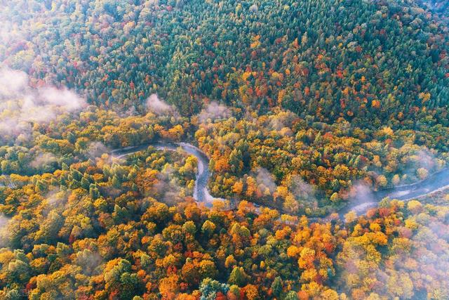 东北“小透明”城市争霸赛：谁是最没存在感的“隐形王者”？
