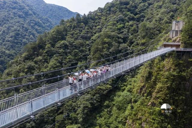 这届春假，临安申请出战！