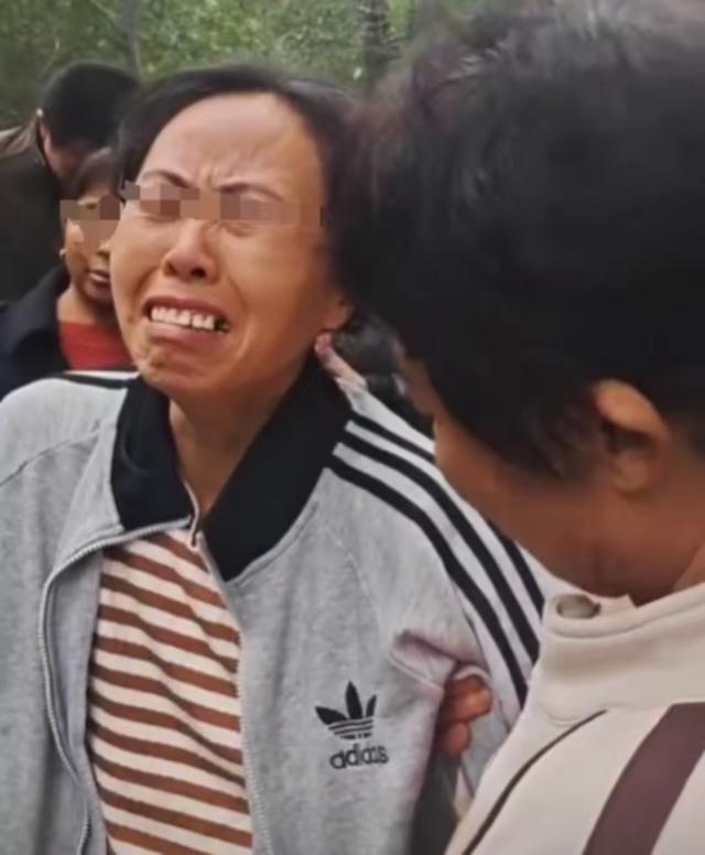 辽宁女孩找到不满24小时，恶心的一幕出现了，爸爸亲自发声辟谣！