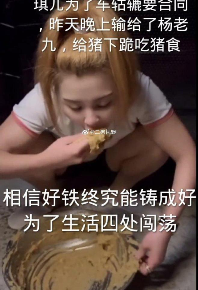 装疯卖傻、丑态百出、目不识丁，到底是谁捧红了这些跳梁小丑？