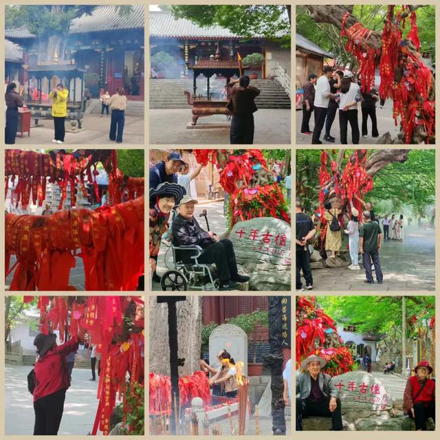九九重阳 情暖青檀 | 陪父母寻一场秋日最诗意的慢旅行