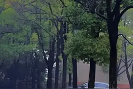 110.7毫米+雷电+冰雹+13级阵风！襄阳昨晚狂风暴雨！图片