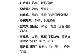 🌹 常见鲜花花语大全｜送花必看，别送错心意！图片