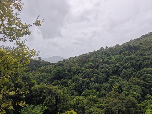 西丽湖国际科教城绿道高清随拍