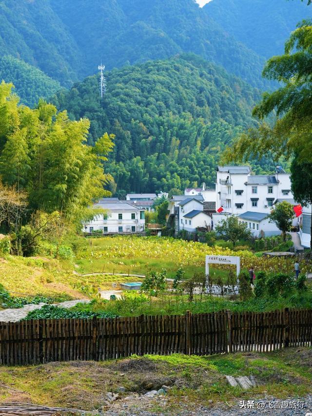 杭州出发两小时车程圈：六大乡村山水田园秘境全攻略