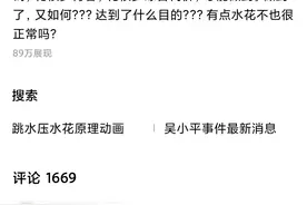 吴小平：实在不能理解，跳水没水花有啥意义，训练不用花很多钱吗图片