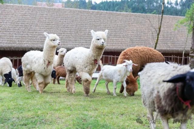 孔雀世界景区通过国家3A级旅游景区评定！