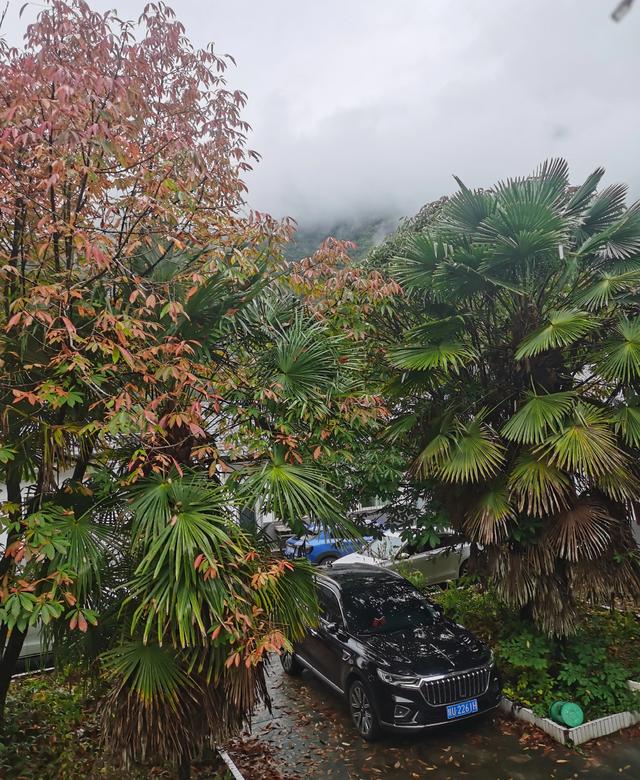 黄柏塬：山居听雨