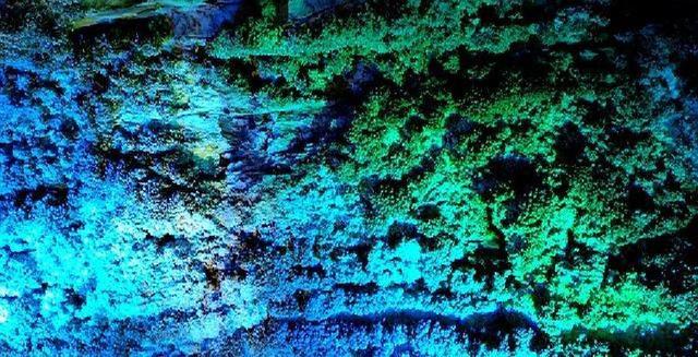 郑州村民无意一铲	，挖出世界级奇观！数十年来闻名全国，至今仍爆