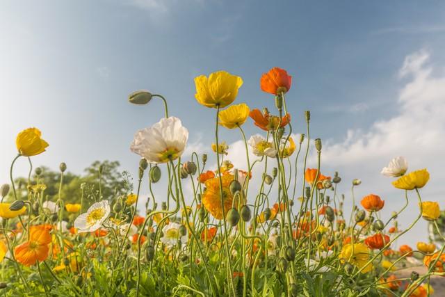 几句话让你走出阴霾