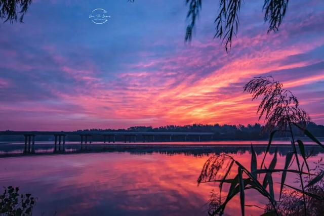 来青州！邂逅2026年绝美曙光