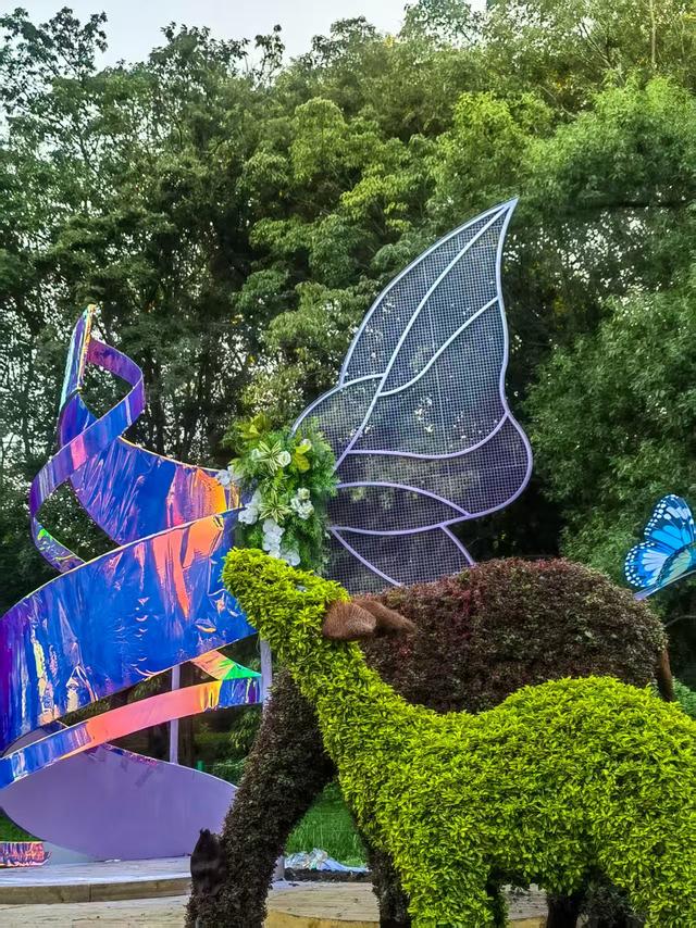 11月30日:2025年上海菊花展华丽登场