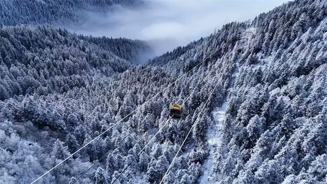 【联动宣传】带你解锁甘川陕交界的小众秘境，陇南官方文旅品牌馆正式上线啦！