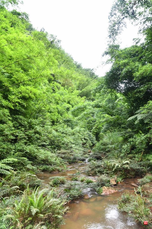 赤水四洞沟瀑布