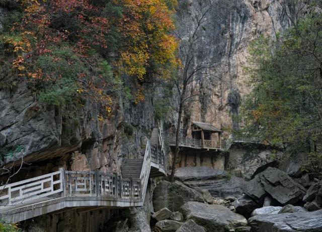 这才是秋天该有的样子~