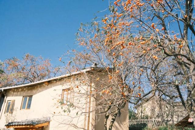 神仙不输泉州，这座闽东小城也有封神的秋天