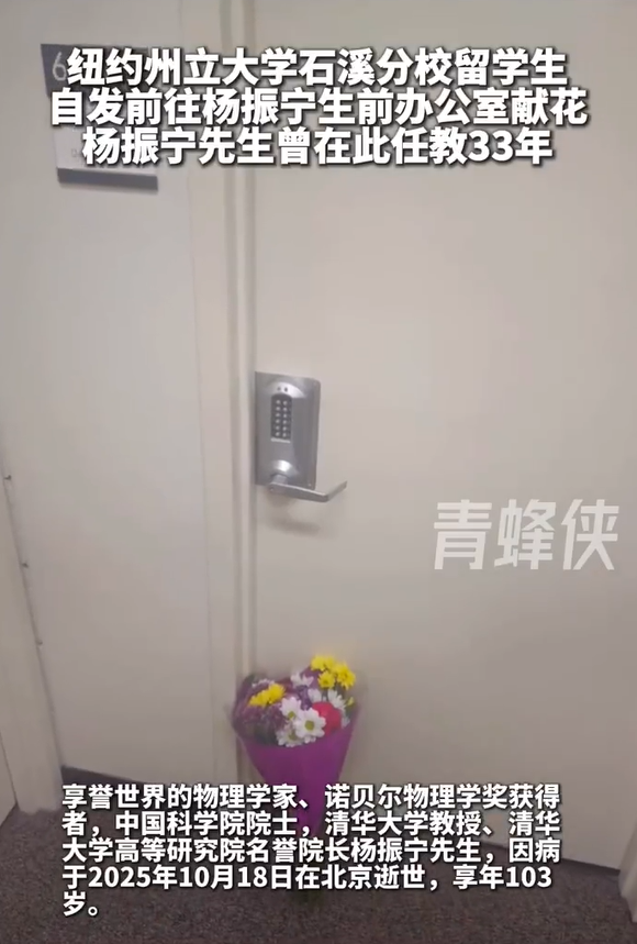 杨振宁离世，翁帆发文悼念！49岁无儿无女的她，将何去何从？