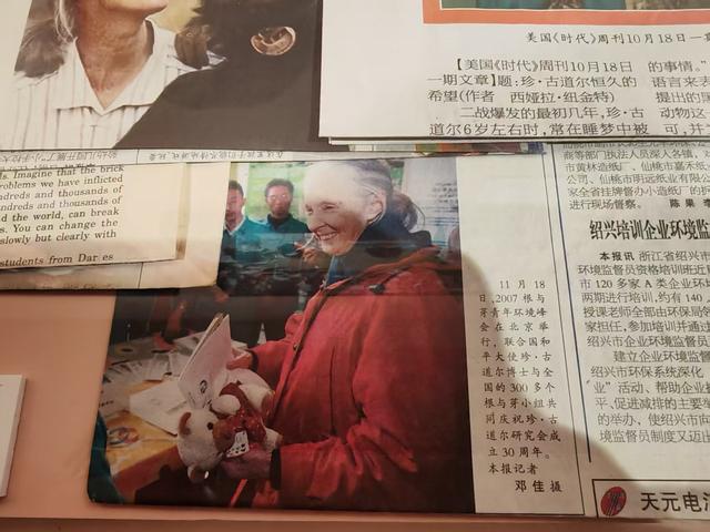 珍·古道尔逝世：活在教科书上的传奇，一生都在为人类与自然奔走