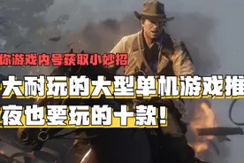 十大耐玩的高人气大型单机游戏排行榜推荐图片