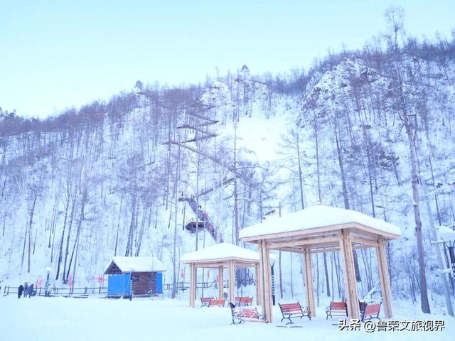 漠河六景漫游指南：从白桦林到驯鹿园，解锁极北冰雪童话