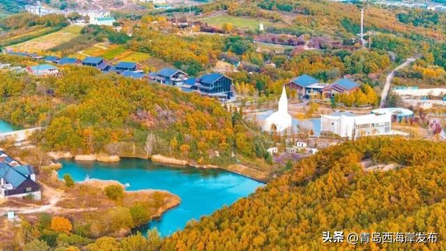 “冬游西海岸”，精彩不重样！