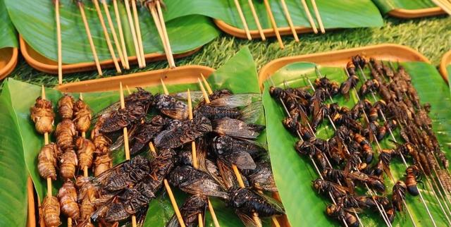 西双版纳夜市尝虫子，当地人口中的美味，白象沙滩等你来