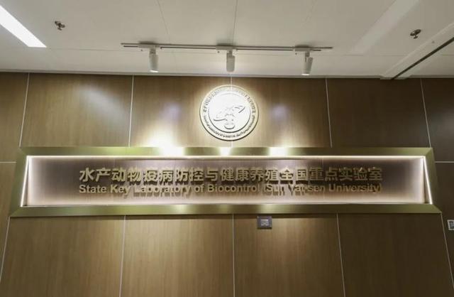首次揭示 想“饿死”肿瘤反而导致转移？Cell刊发中山大学最新成果