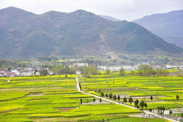 春风十里汉中路：120 公里花海茶园摄影环线