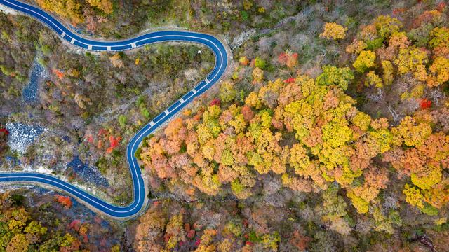 山道弯弯秋色浓