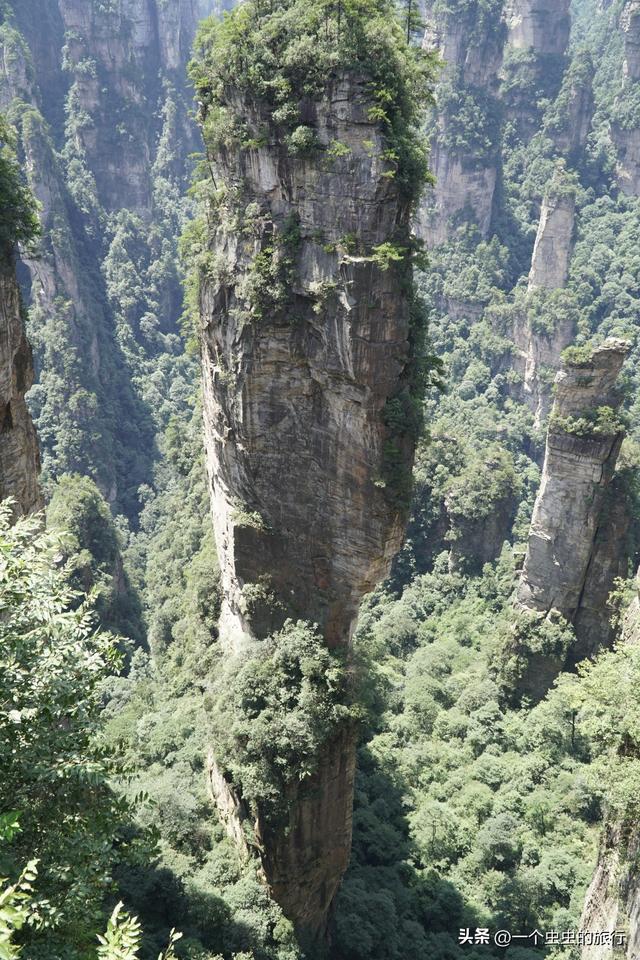 袁家界：地球的‘盗梦空间’！与2亿年的石英砂岩对视，这悬浮山