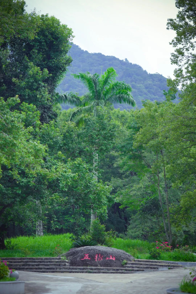 跟着赛事去旅游｜五指山：探五峰叠翠，闯雨林天路