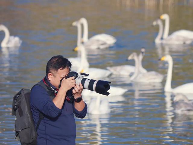 冬日周六晴好，邂逅热闹苍龙湖