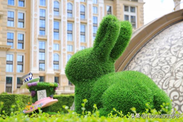 奔赴一场爱丽丝的梦幻之约：澳门上葡京奇遇记