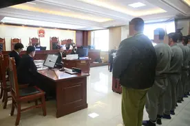 一团伙网购枪支配件，组装为气枪成品后直播售卖获刑图片
