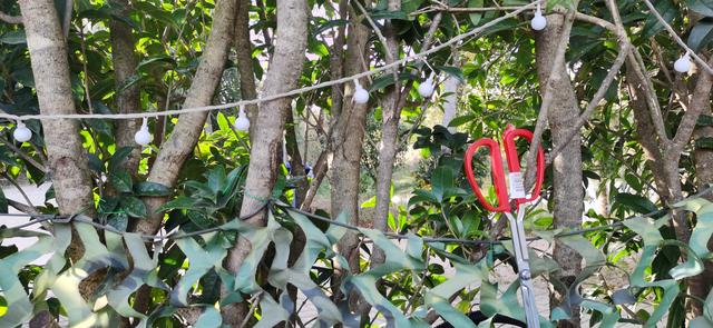 云南昆明 冬藏隐居山野间