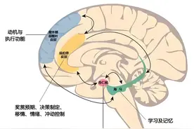 总被催促的孩子，永远学不会自律！激发自驱力，只需家长做4件事图片