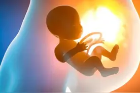 人工流产后的胎儿遗体最后都去了哪里呢？看完后让人忍不住心疼图片